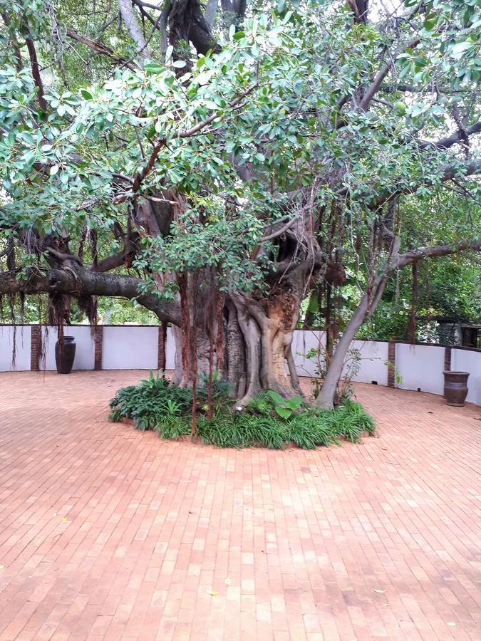 Bush Lovers Lodge 莫迪默勒 外观 照片